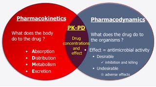 pharmacokinetics amp pharmacodynamics [upl. by Kulda889]