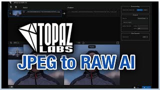 JPEG to RAW AI  Topaz Labs Review [upl. by Mart]