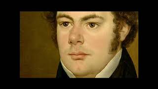 Franz Schubert Quintet quotThe Troutquot [upl. by Stegman]