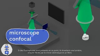 Animations sur les microscopes  Microscope à fluorescence et confocal [upl. by Elodia]