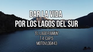 Dar La Vida Por Los Lagos del Sur quotEl Lago Paimúnquot Argentina T4C5 Mvlog 43 [upl. by Atteuqehs]