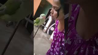 Hami dische youtube funnyanimals birds youtubeshorts cute [upl. by Brink]