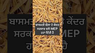 Basmati rice price in india punjab farming khetibadi india export india newpunjabisong [upl. by Atilamrac]