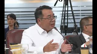 Atty Neri Colmenares on Senate Hearing [upl. by Anafetse]