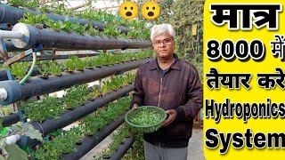 सिर्फ 8000₹ में छत पर तैयार करे इतना बड़ा Hydroponics system और तोड़े बहुत सारी सब्जिया। [upl. by Kreiker]