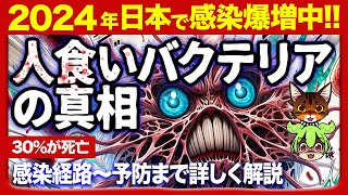 【必ず見て‼】知らないと超危険！致死率30％の恐怖「人食いバクテリア」の真相 感染経路から予防まで徹底解説【ずんだもん】 [upl. by Strickler]