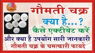 गोमती चक्र क्या है इसे कैसे अभिमंत्रित करते है और इसके चमत्कारी उपयोग क्या क्या है पूरी जानकारी [upl. by Ilarrold623]