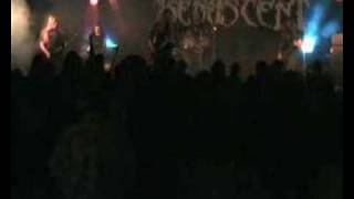 Renascent  Son of God Live  Ohmfest 2007 [upl. by Warthman950]