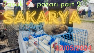 12052024 Sakarya tavuk 🐔 pazarı part 2 [upl. by Airdnoed830]