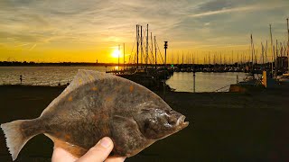 Nachtangeln an der Ostsee auf Meerforelle und Plattfisch vom Ufer [upl. by Grenville]