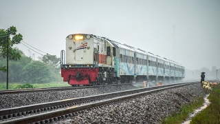 Bugs Kompilasi Kereta Lewat Di Beberapa Lokasi Februari 2017 Fast Diesel Locomotive [upl. by Nedaj]