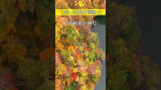 紅葉が似合う鉄橋～福島県三島町・第一只見川橋梁～ shorts drone 只見川 紅葉 ドローン [upl. by Lemor]