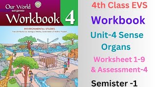 💐👌4th Class EVS Workbook Our World Sem1 Unit4quotSense Organsquot Worksheet 1 8 amp Assessment 4 👌💐 [upl. by Arracat]