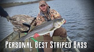 Spring Fishing Striped Bass  Miramichi River [upl. by Getraer26]