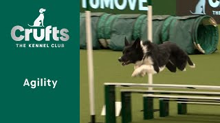 Agility  Crufts Novice Cup Final Jumping  Part One  ​Crufts 2023 [upl. by Arev345]