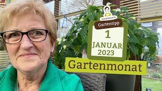 Der Gartenmonat Januar Gartenarbeiten und Vorbereitungen  Gartenjahr 2023 [upl. by Nitsu]