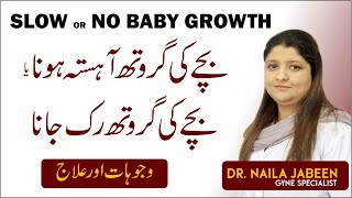 Bachy Ki Growth Na Hona  No Baby Growth  Causes of Baby Growth Stop During Pregnancy Urdu [upl. by Annnora]