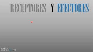 Receptores y Efectores de Sistema Nervioso [upl. by Analed]