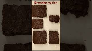 Brownian motion  explained brownie stopmotion shorts [upl. by Ydnamron]