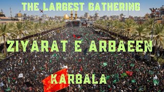 ziyarat arbaeen by aliwale karbala Walk mashi [upl. by Oribel]