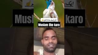 MassallAlha Ka Karima hai birds Allhauakbar ka zikr karte haisubhanallha islamic 👌🕋🩵♥️ [upl. by Benge]