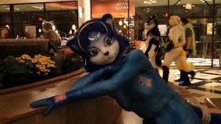 Krystal at Furry Fiesta 2017 56 [upl. by Kieryt]