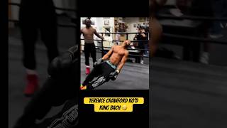 Terence Crawford KO’d King Bach 🤣 [upl. by Teryn]