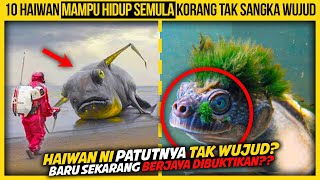 10 HAIWAN MAMPU HIDUP SEMULA KORANG TAK SANGKA PUN WUJUD [upl. by Ileane]