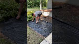 Yard transformation lawncare lawnmaintenance lawn yard landscaping Transformationsatisfying [upl. by Aihsetel]