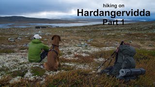 Hiking on Hardangervidda  8day round trip with dog  Part 1 [upl. by Tat249]