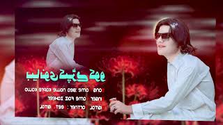 Bea Nawe Kapre Kawo  Faiz Zaheer Pashto New Song 2024  Pashto Hit Song 2024 [upl. by Ennaid564]