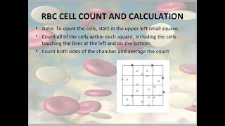 how to count RBC cell in Neubauer improved counting chamber Bangla [upl. by Hillel855]