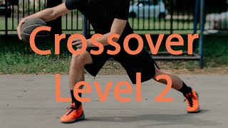 5 Minute Follow Along Basketball Dribbling Workout  Crossover Level 2 [upl. by Nylasej623]