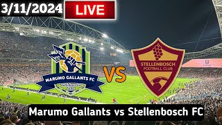 Marumo Gallants Vs Stellenbosch Live Match Today [upl. by Iarahs]