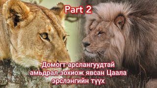 Сүүлгүй Цаала эрслэнгийн тэмцэл Парт2 Гоё түүхүүд Goe tuuhuud mongol heleer kino duu Arslangiin tuuh [upl. by Neeleuqcaj]