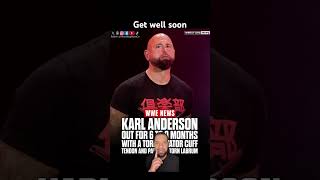 Karl Anderson out for 69 months wwe njpw japan tna wrestling wrestler injury wweraw wwe24 [upl. by Hak78]