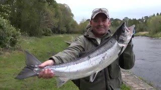 Drowes Salmon Fishery  Spring Salmon Fishing In Ireland [upl. by Riehl]