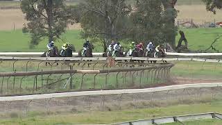 Gulgong 09 06 2024 Race 4 [upl. by Nidorf]