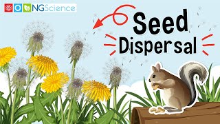 Seed Dispersal [upl. by Eihtak228]