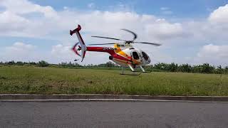 RC an giang  scale helicopter MD500e  tarot 450 [upl. by Allrud]