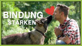 VORSICHT beim Kuscheln mit dem Hund Wie viel ist gut [upl. by Bobina869]