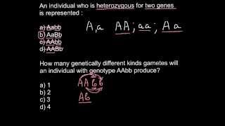 Heterozygosity Homozygosity problem and solution [upl. by Emoreg]