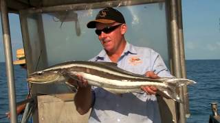 Fishing Croker Island Jarbu Lodge Northern Territory [upl. by Cenac626]