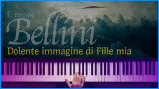 Emin Dolente immagine di Fille mia  VBellini accompaniment  반주는 피아노튼 [upl. by Hymie38]