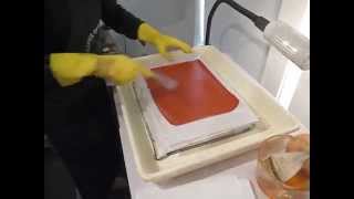 Photogravure Brush Sensitizing Process [upl. by Kcinimod]