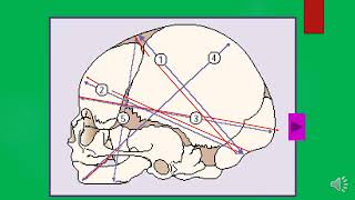 diameters of the foetal skull [upl. by Pollock]