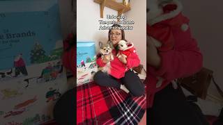 Doggie Advent Calendar unboxing from Pets at home [upl. by Raines712]