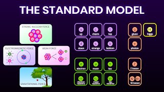 All Fundamental Forces and Particles Explained Simply  Elementary particles [upl. by Kaya]