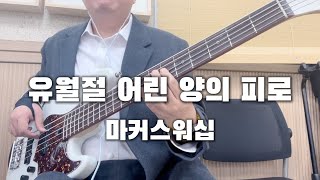 🎸  유월절 어린 양의 피로  마커스워십  BASS  찬양  커버 [upl. by Leuqcar819]