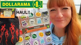 DOLLARAMA HAUL [upl. by Yrad]